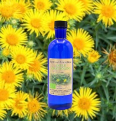 Hydrolat Fleurs D'Oranger