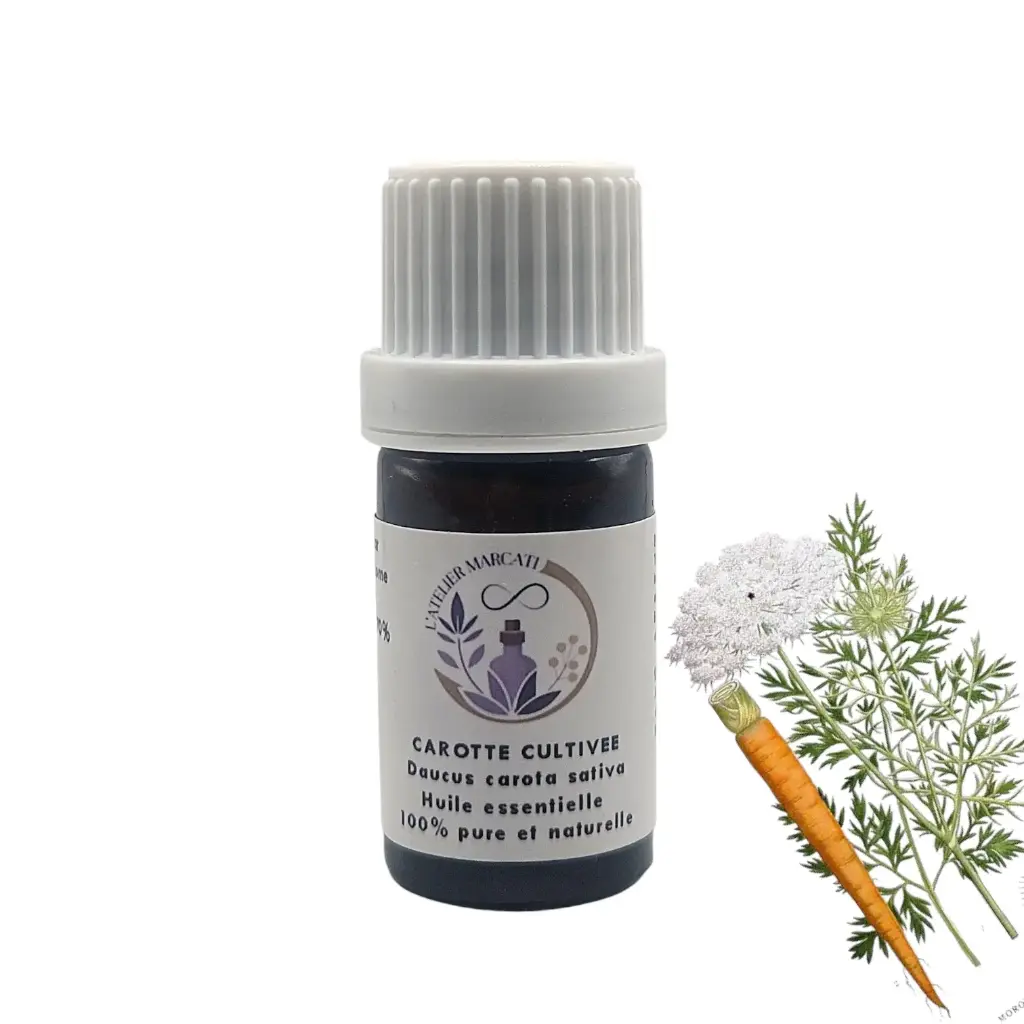 Cultivated Carrot Essential Oil